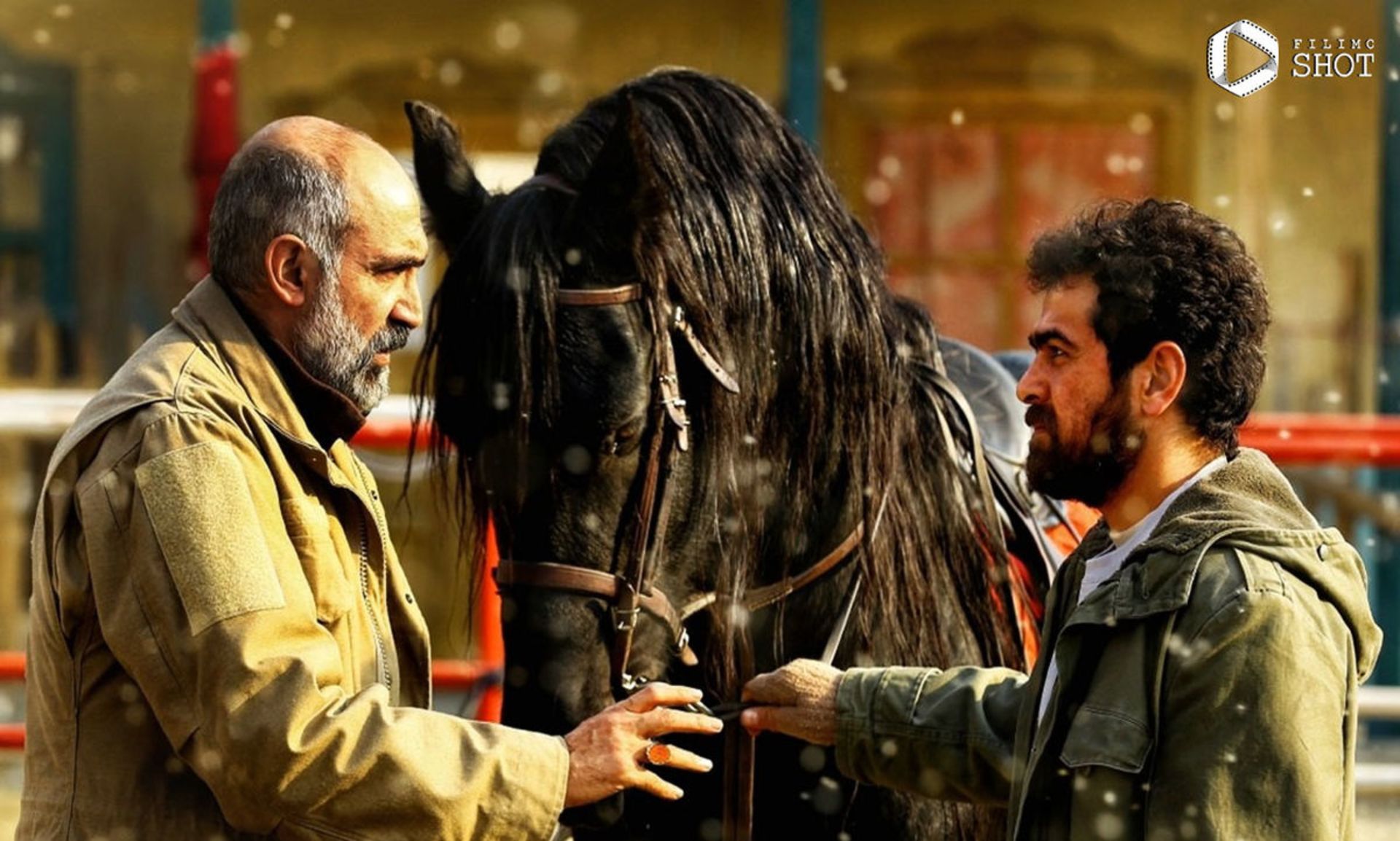 فیلم ناتور دشت