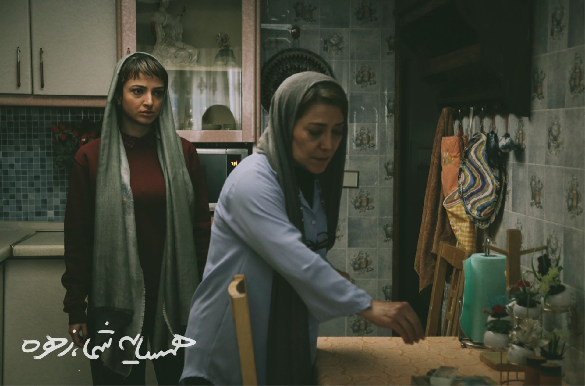 فیلم من زهره همسایه شما