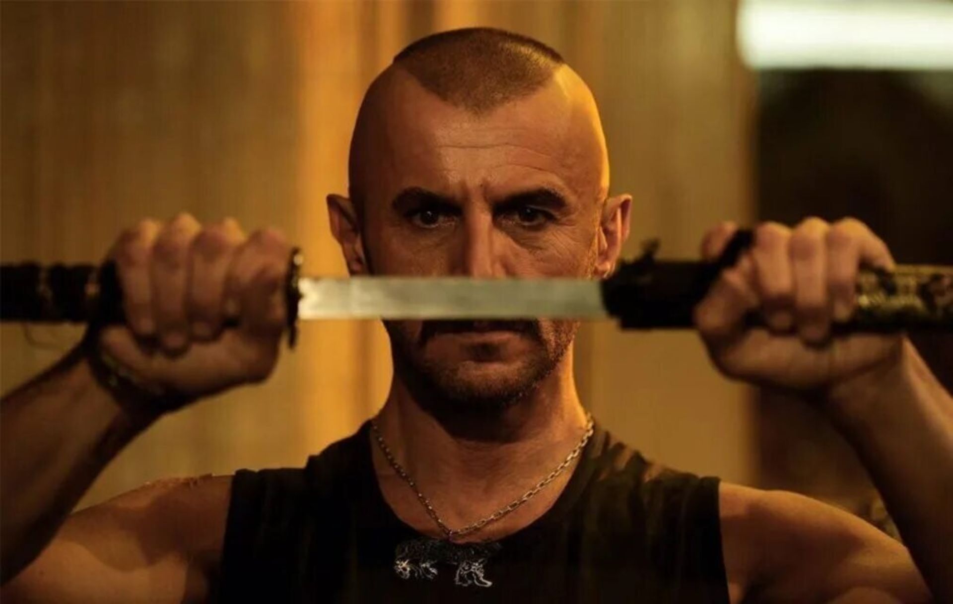 فیلم قاتل و وحشی 