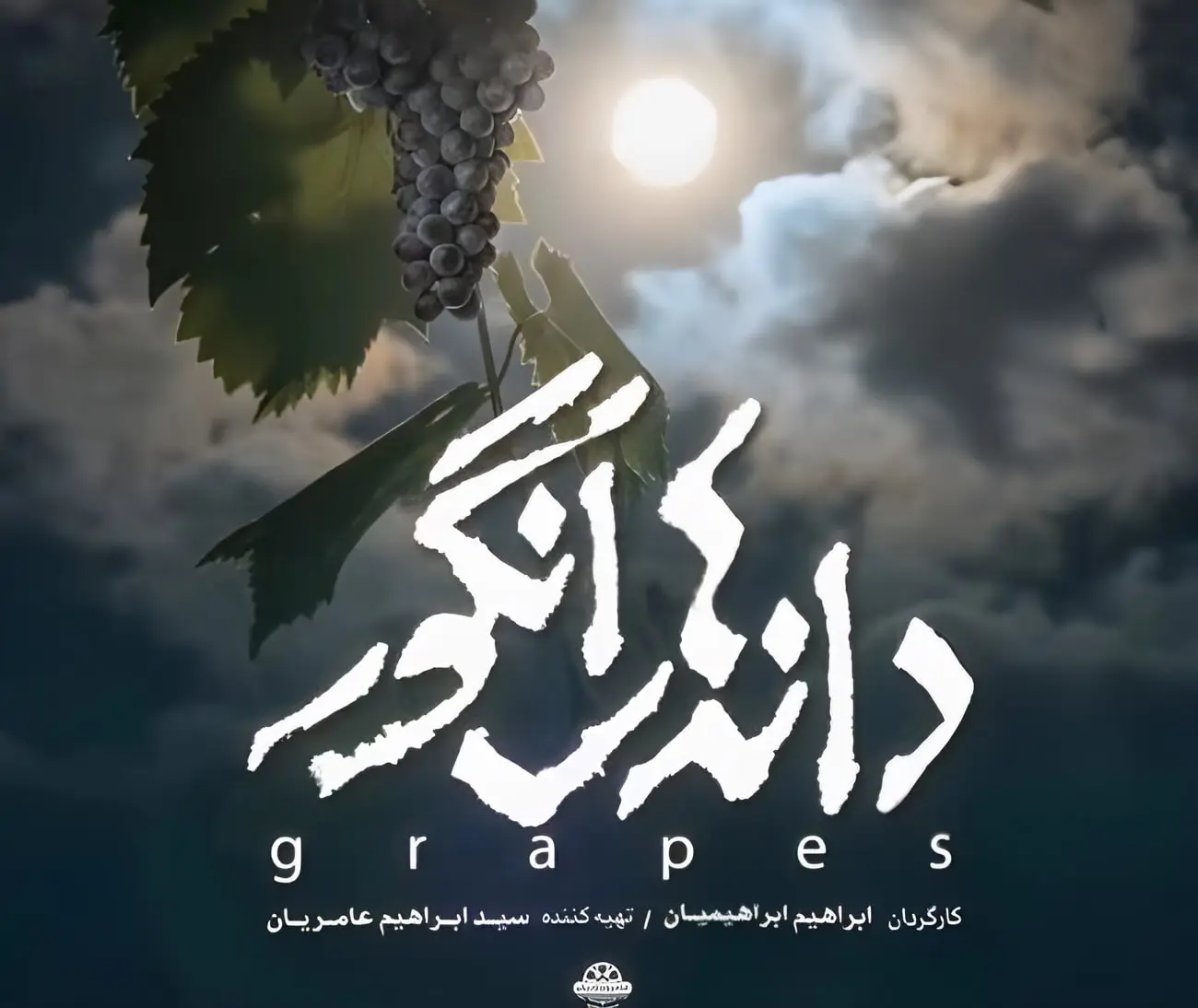 پوستر فیلم دانه های انگور 