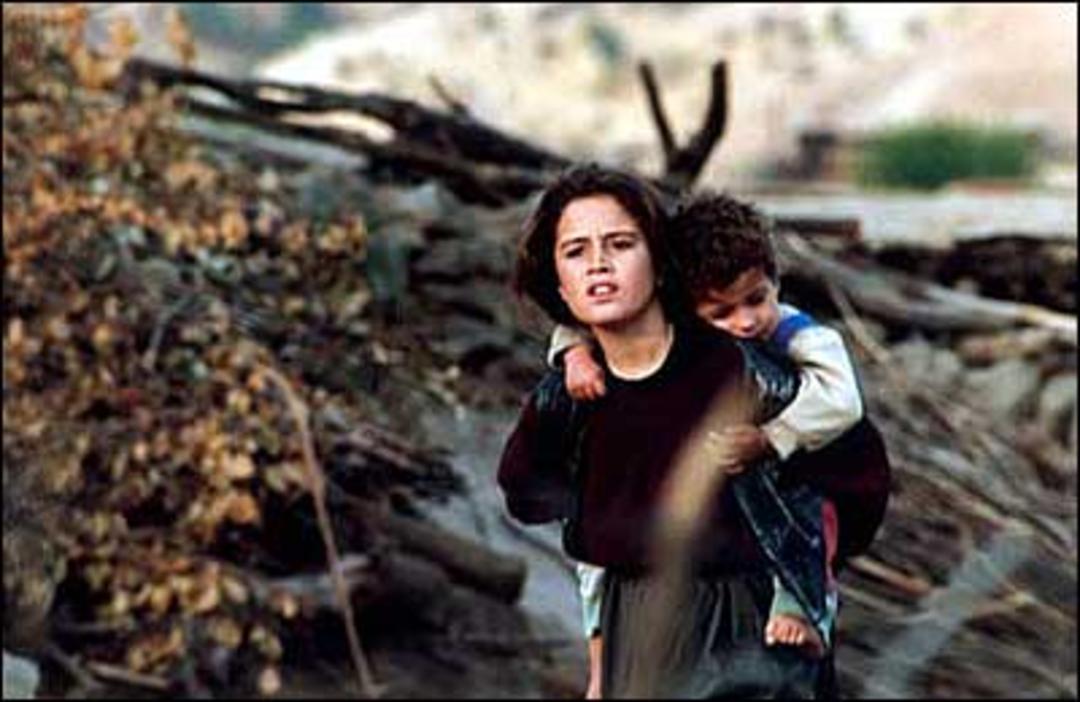 لاک پشت ها فریاد نمی زنند