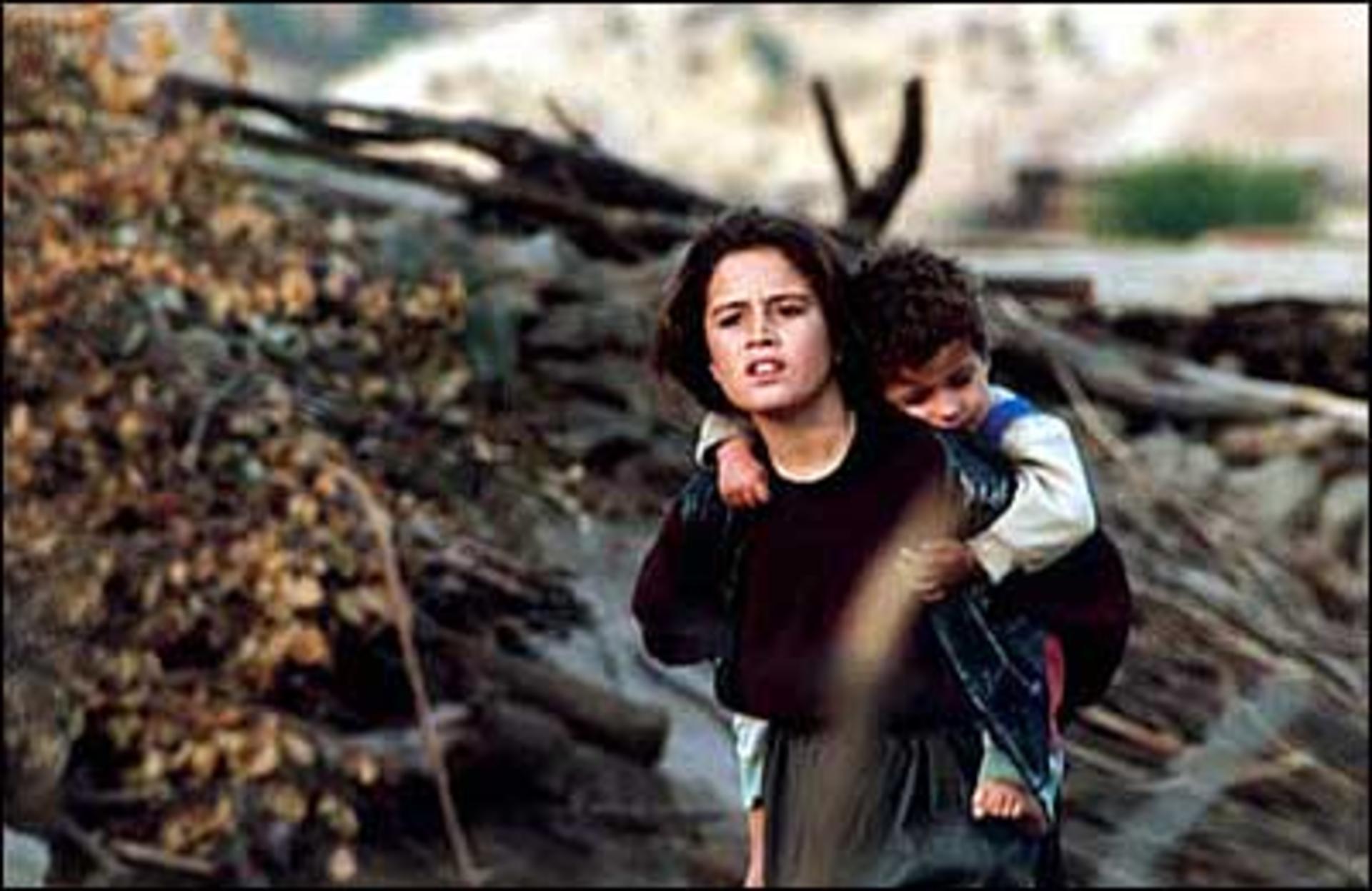 لاک پشت ها فریاد نمی زنند