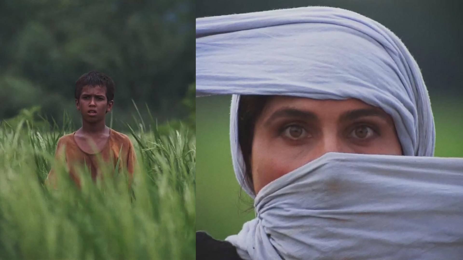 باشو، غریبه کوچک