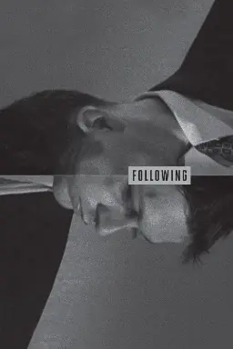 پوستر Following