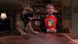تصویر Dewey's Dog