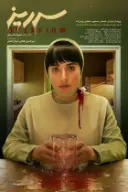 پوستر سرریز