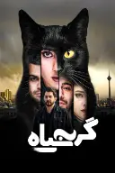 پوستر گربه سیاه