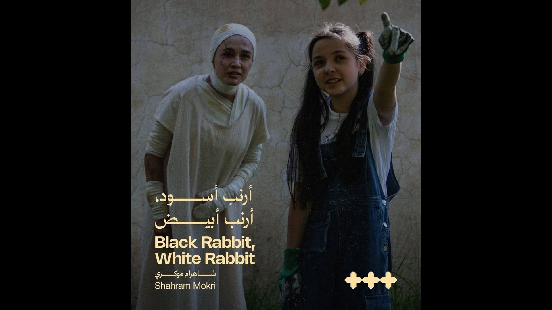 فیلم خرگوش سیاه خرگوش سفید