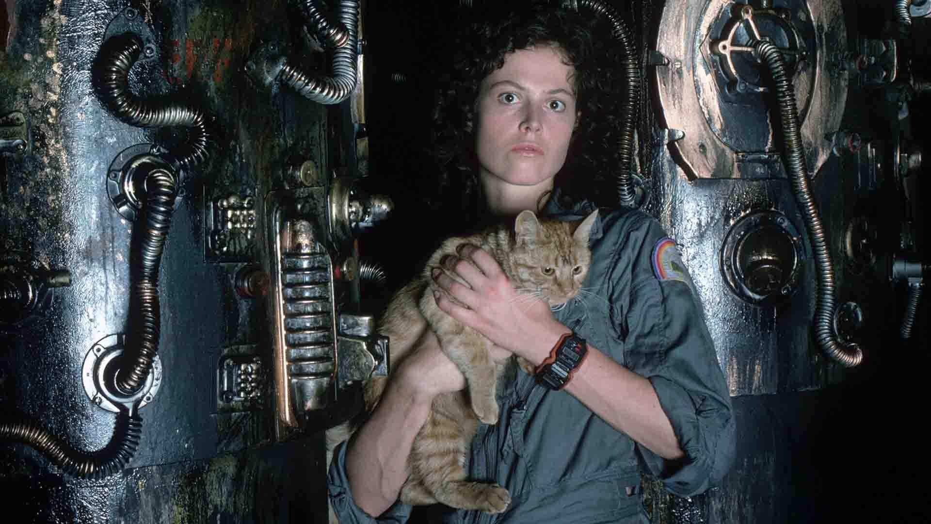سیگورنی ویور همراه با یک گربه در سفینه در فیلم Alien