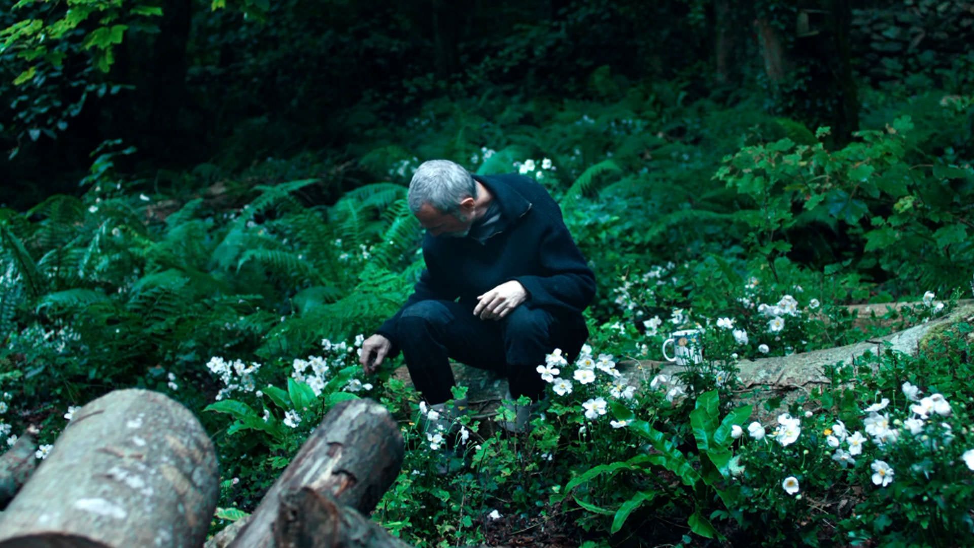 دنیل دی لوئیس نشسته در میان گل‌ها وسط جنگل در نمایی از فیلم آنمونی به کارگردانی رونن دی لوئیس