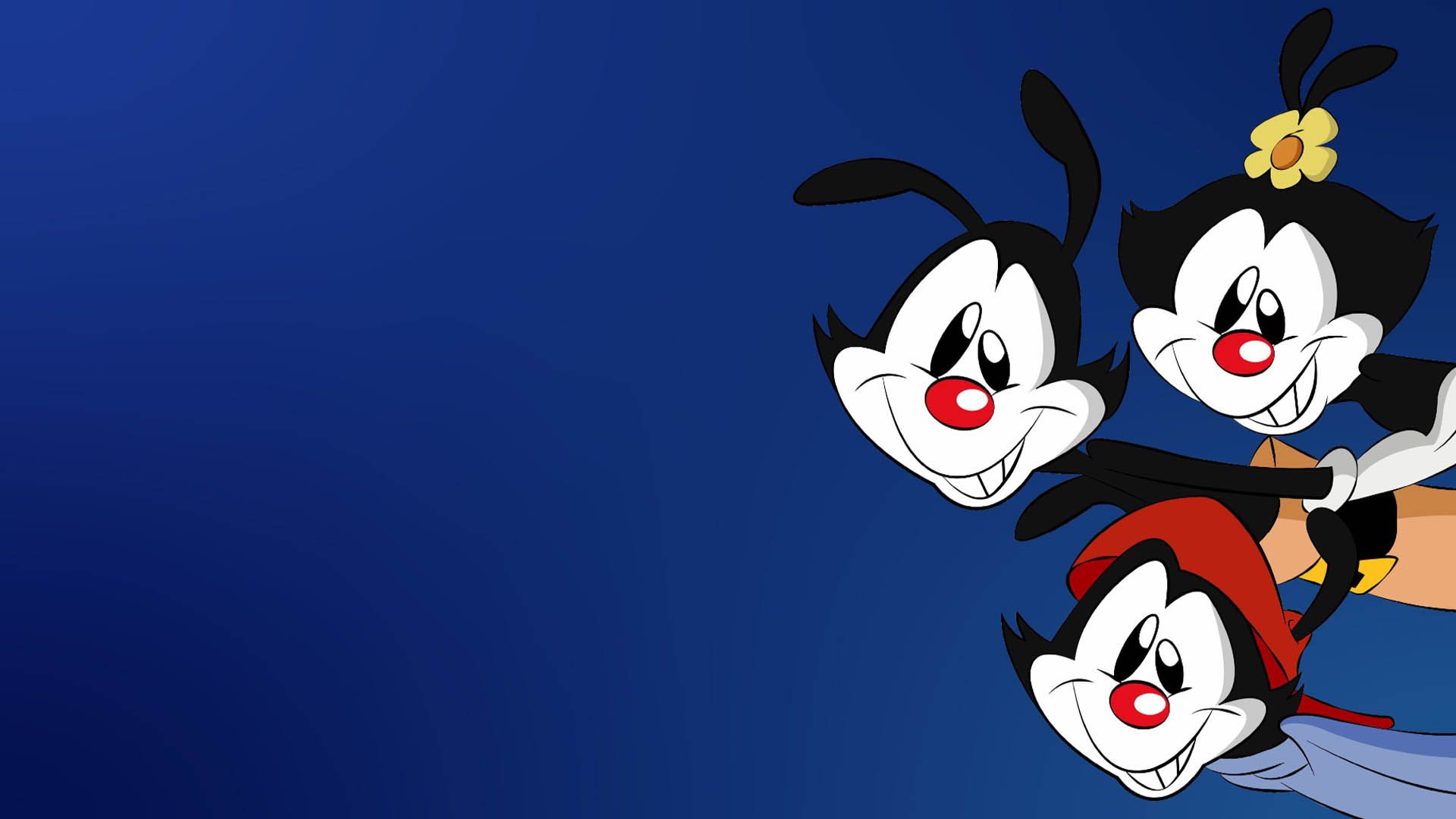 انیمیشن Animaniacs 