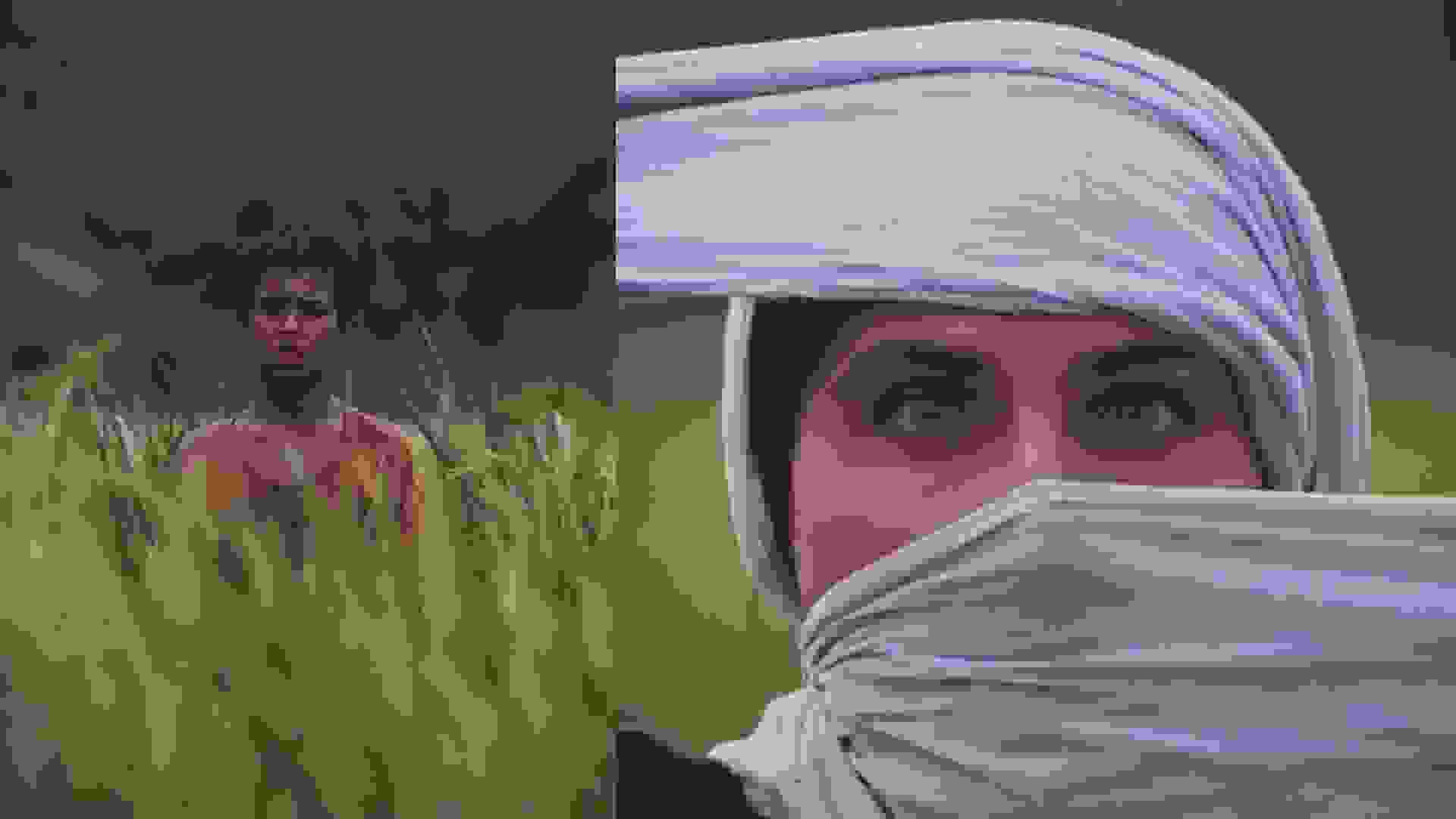 باشو، غریبه کوچک