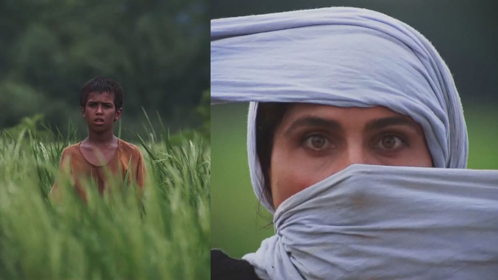 باشو، غریبه کوچک