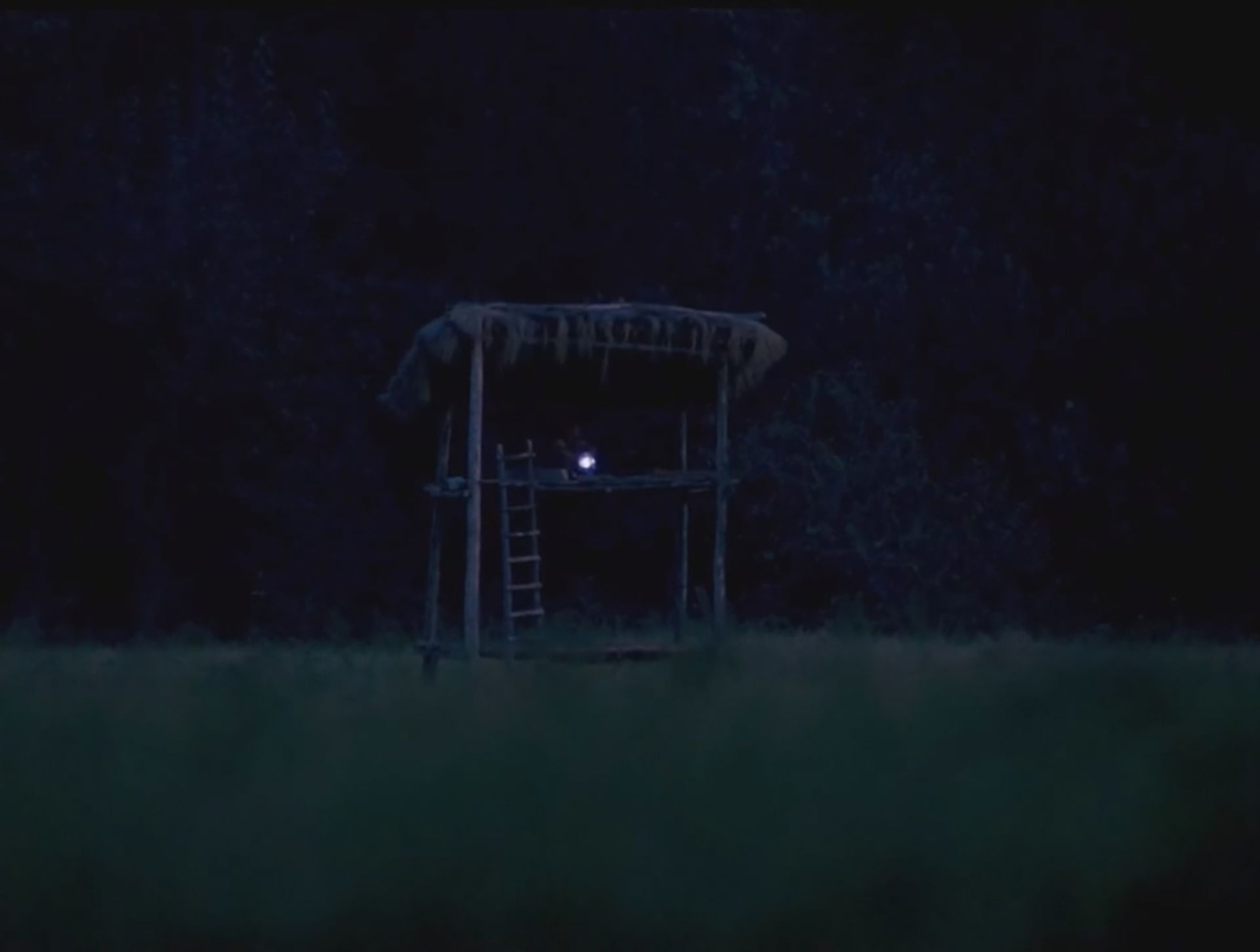 نمایی از فیلم باشو، غریبه کوچک