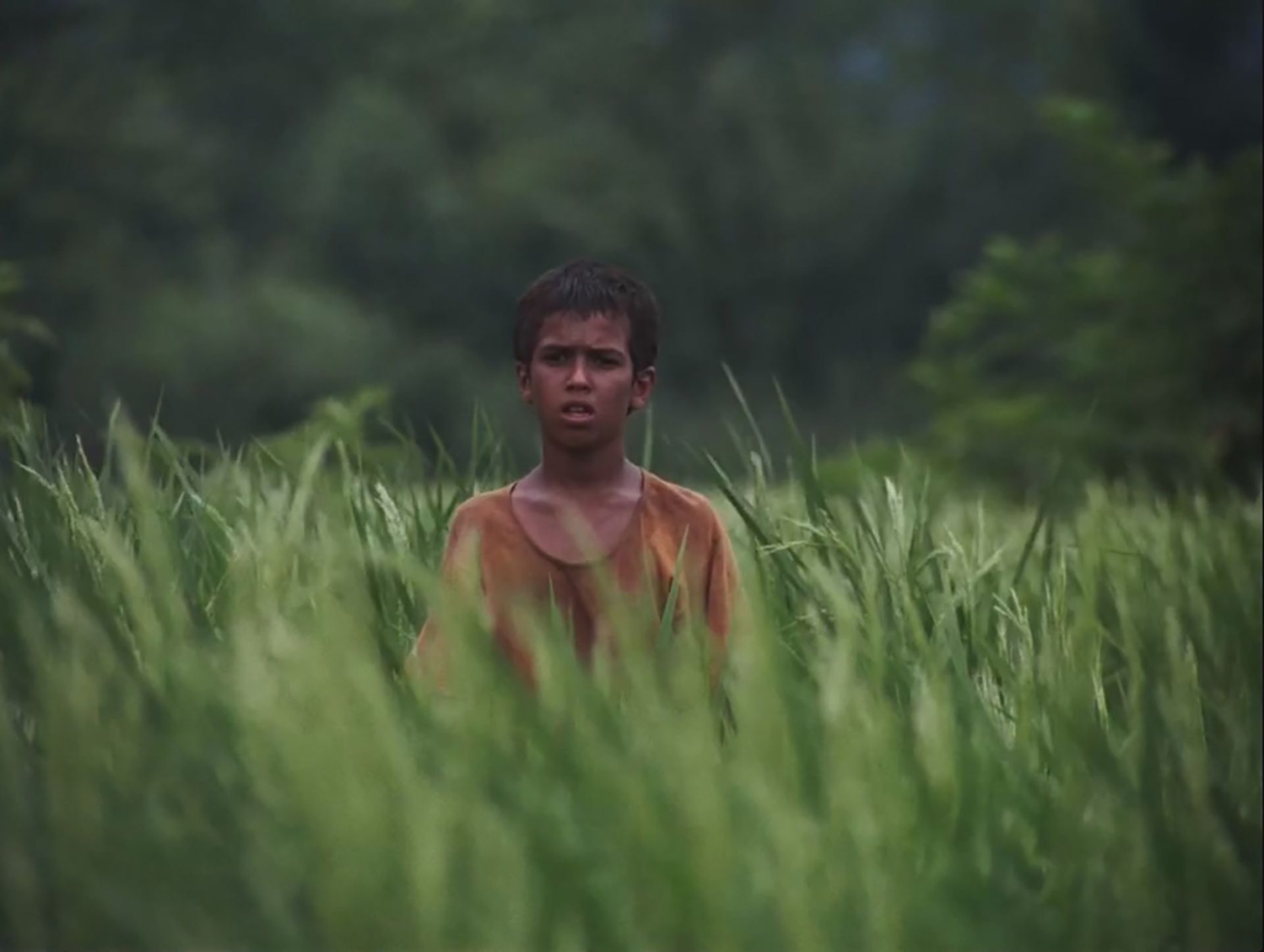 نمایی از فیلم باشو، غریبه کوچک