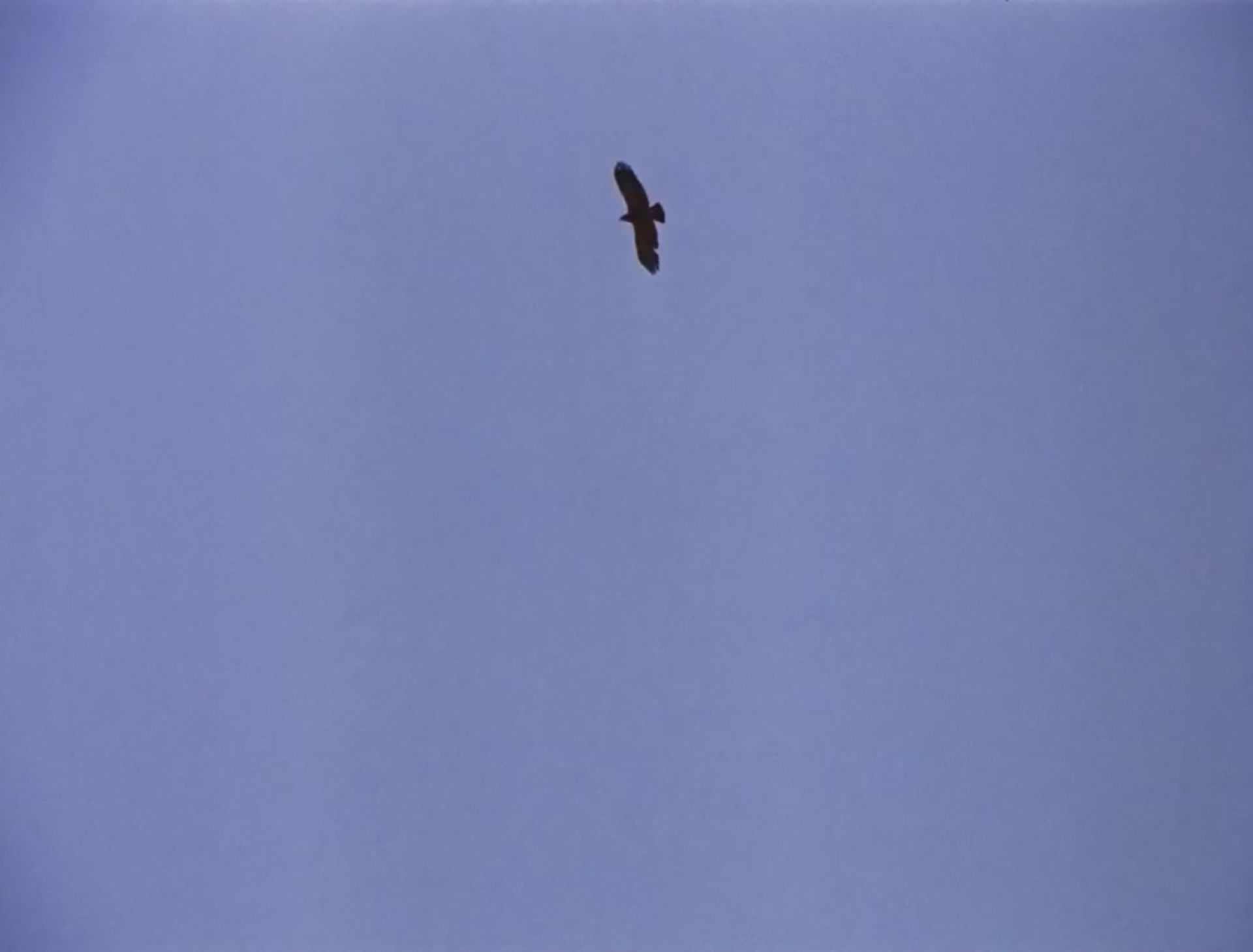 نمایی از فیلم باشو، غریبه کوچک