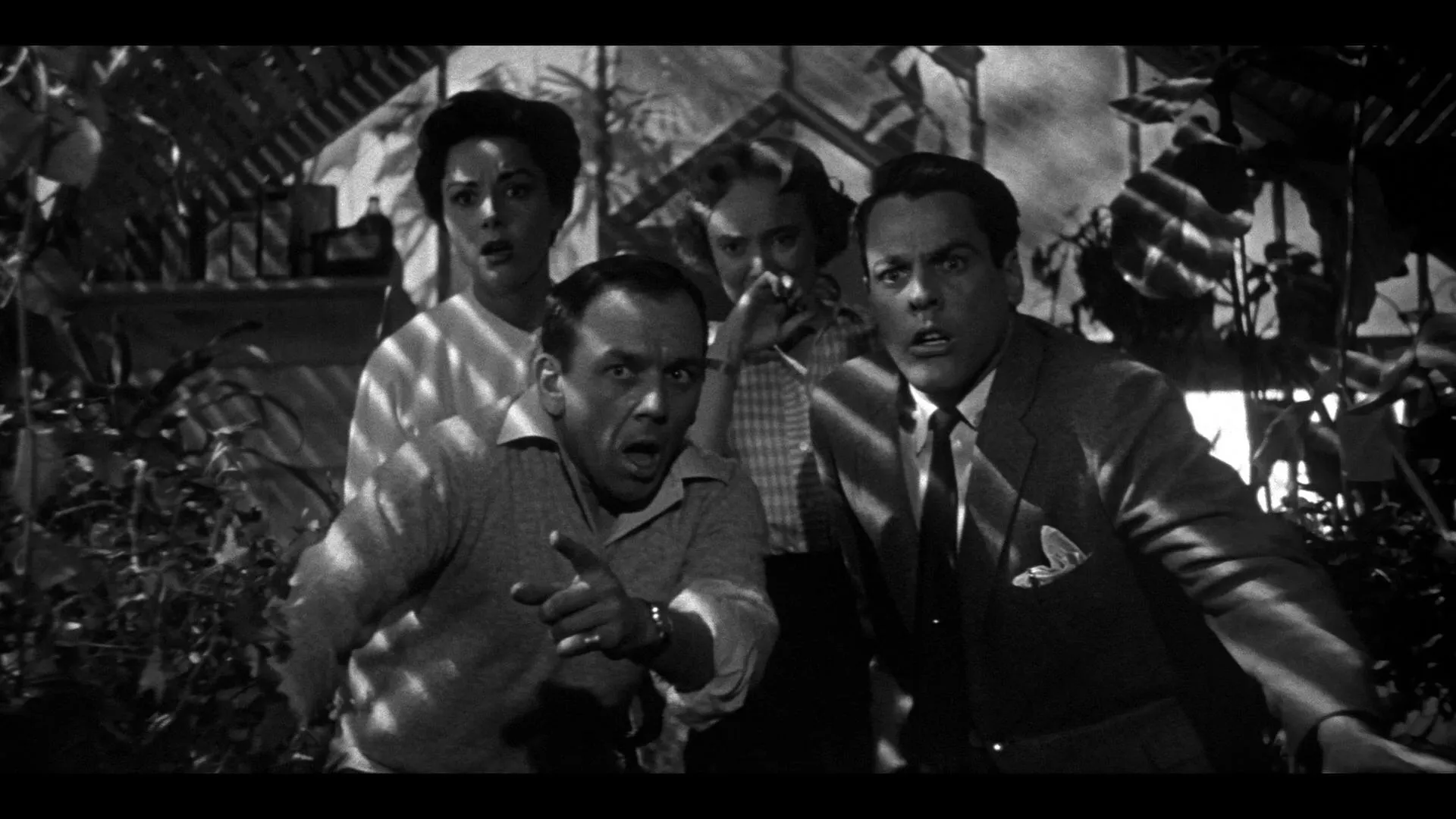 فیلم هجوم ربایندگان جسم - ۱۹۵۶