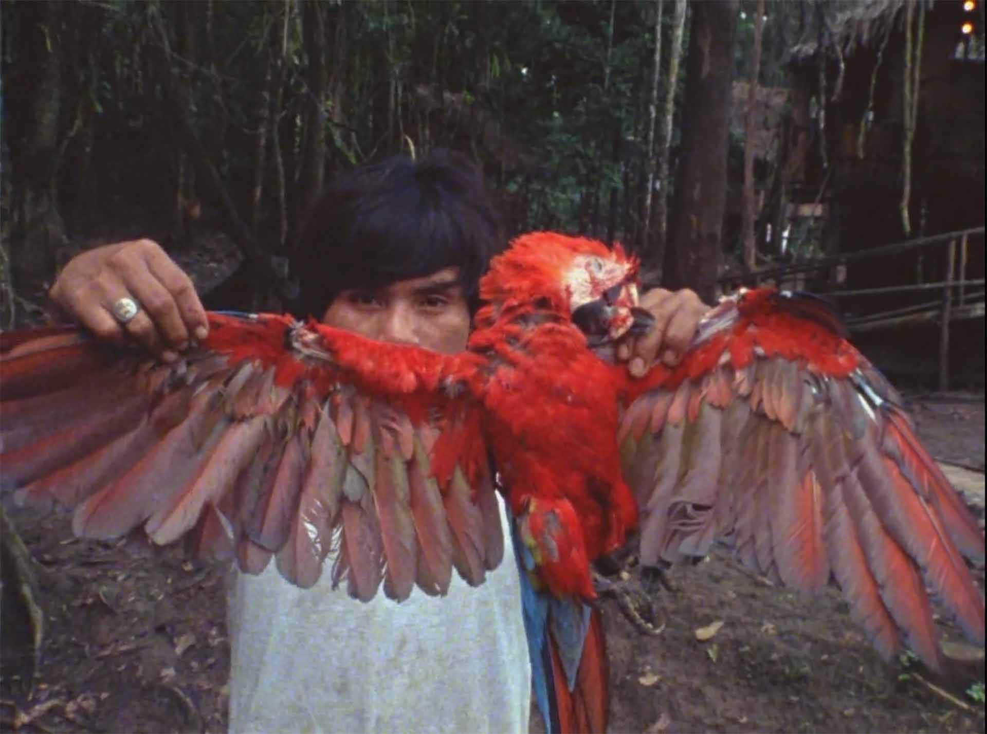 بخشی از مستند Burden of Dreams