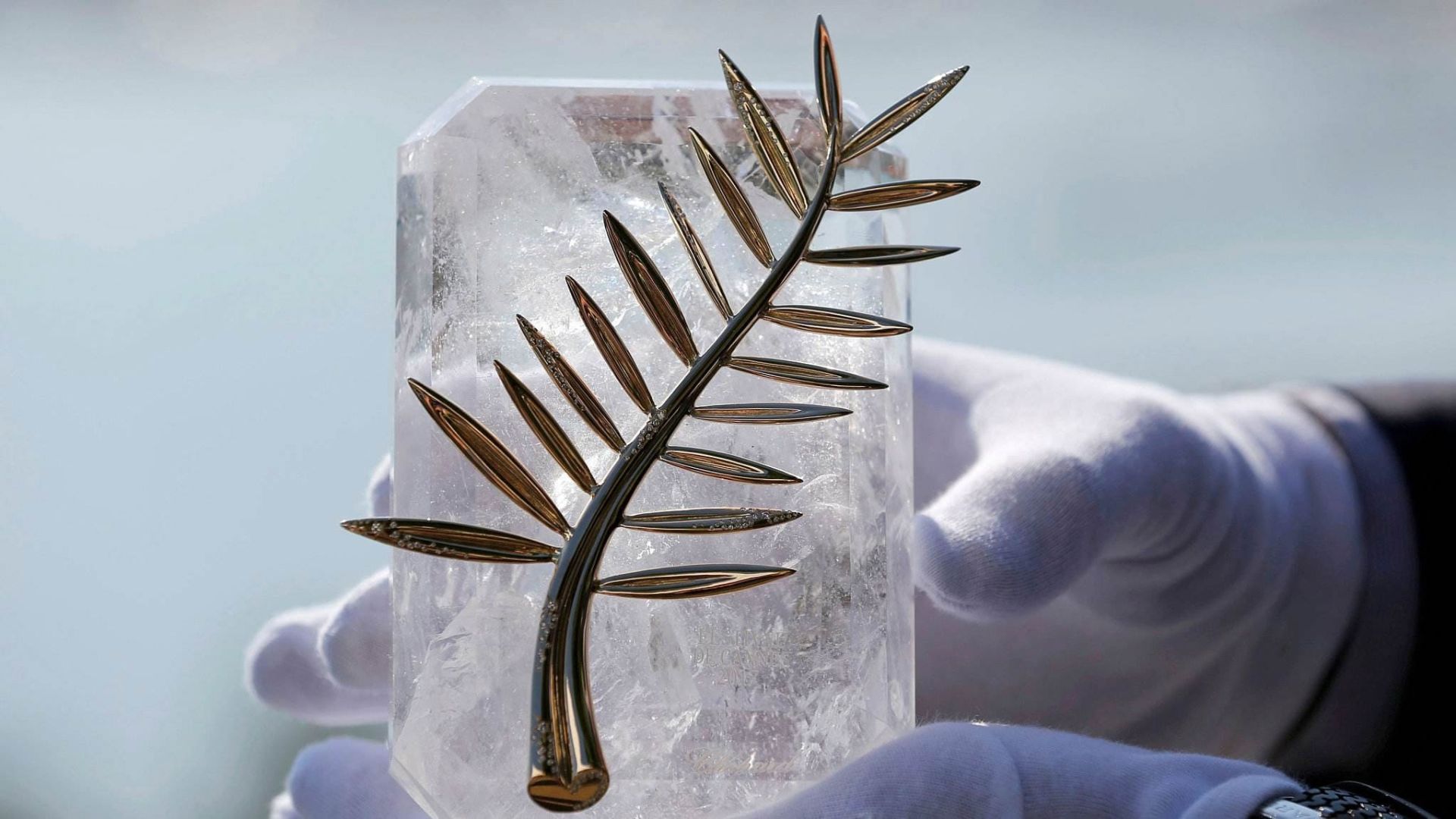 نخل طلا جشنواره کن