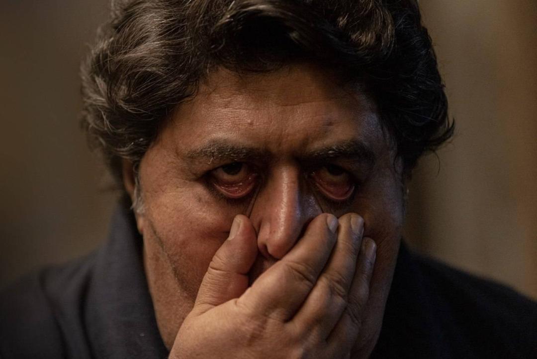 فیلم لاک پشت