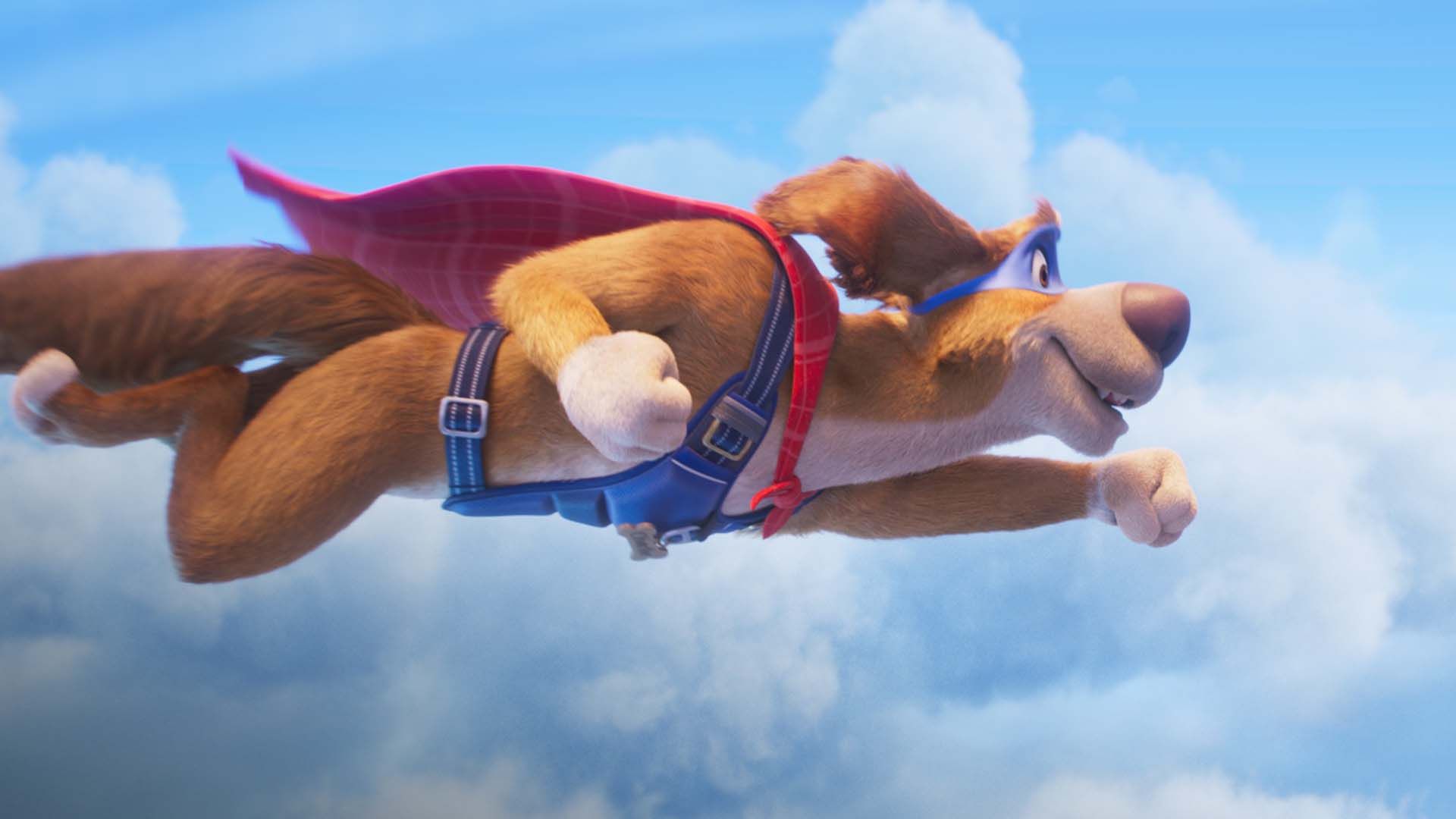 چارلی سگ شگفت‌انگیز در حال پرواز کردن در انیمیشن Charlie the Wonderdog