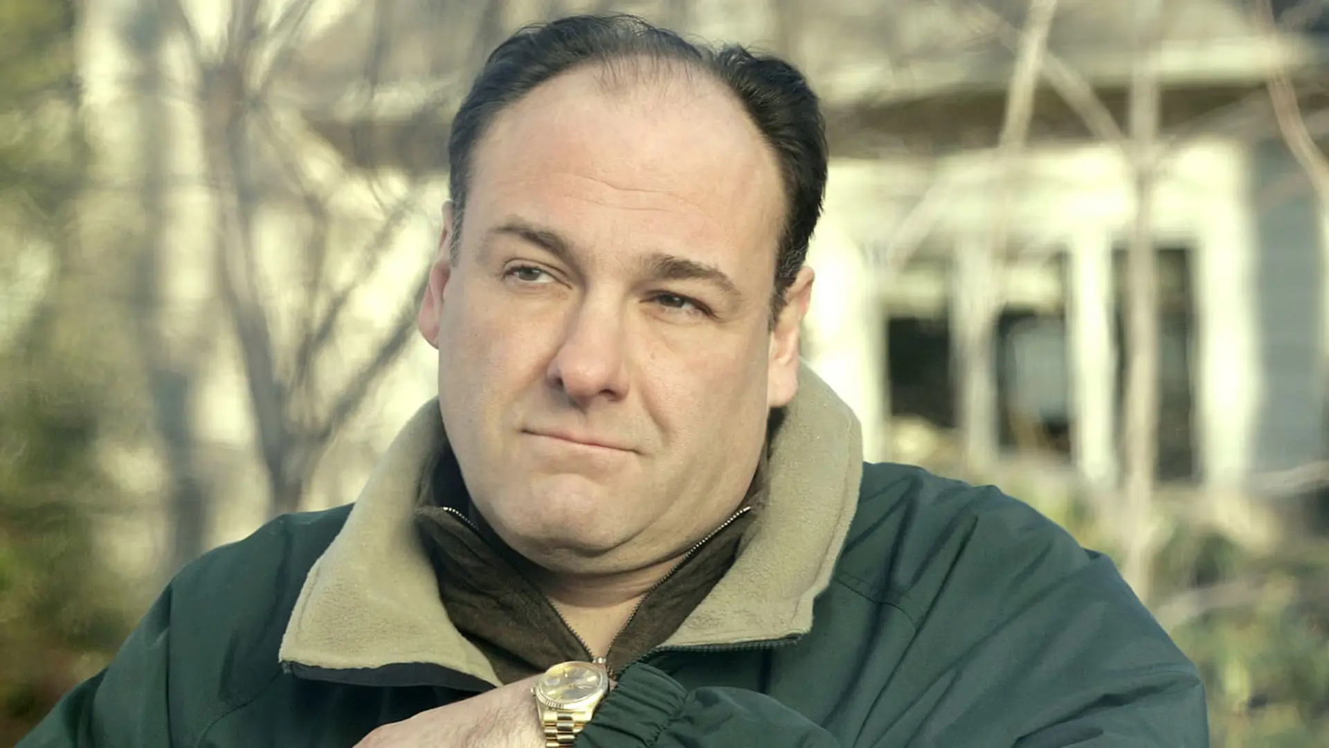 جیمز گاندولفینی (James Gandolfini) در نقش تونی سوپرانو در سریال سوپرانوز