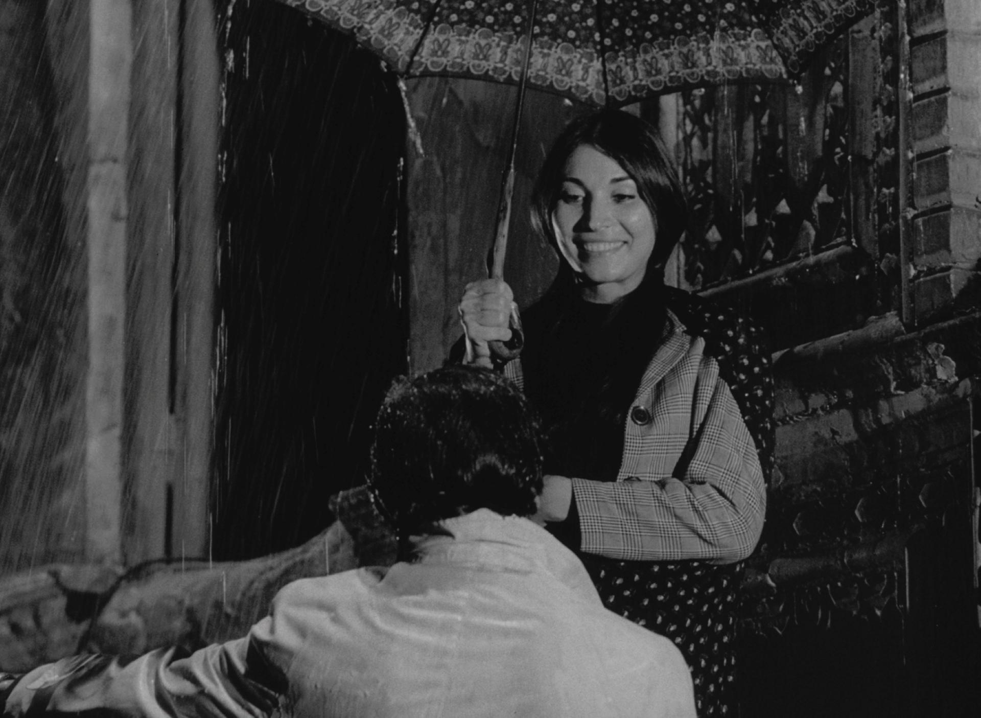 رگبار بیضایی