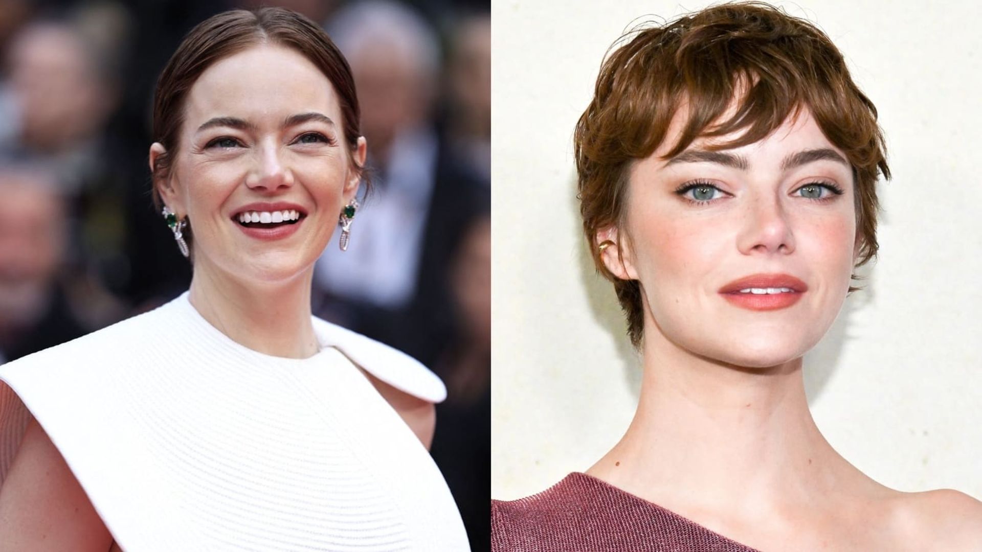 اما استون ستاره هالیوود