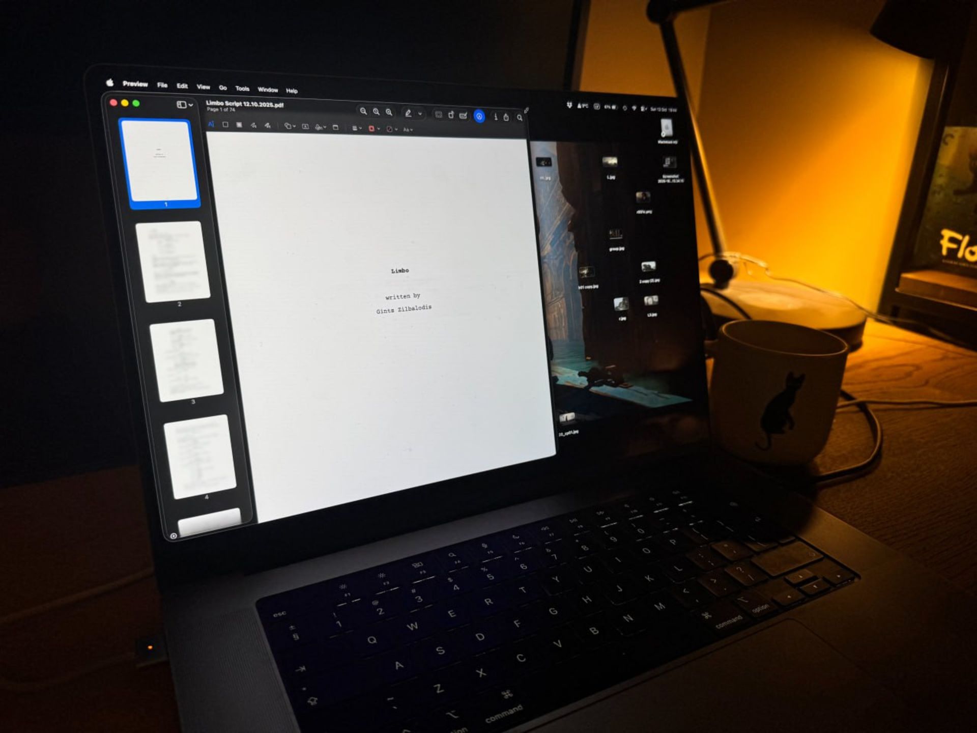 تصویری از فیلمنامه انیمیشن جدید خالق Flow