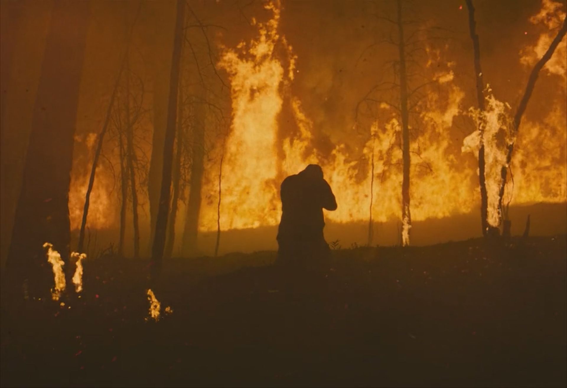 نمایی از فیلم قطار رویاها