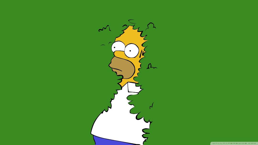 هومر سیمپسون (Homer Simpson) با پوست زرد در پس‌زمینه سبز
