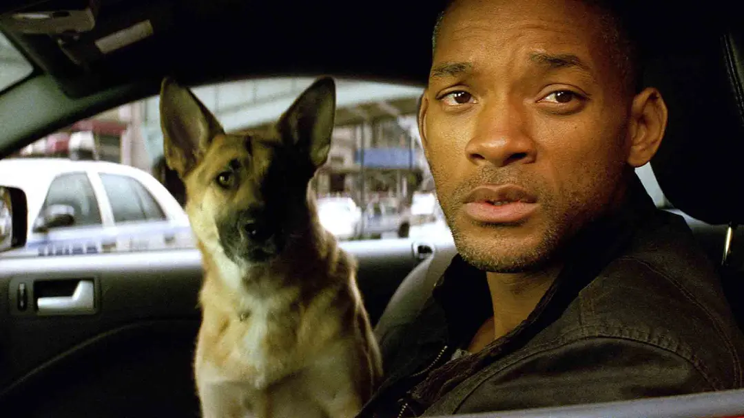 ویل اسمیت به همراه سگ خود در ماشین در فیلم I Am Legend