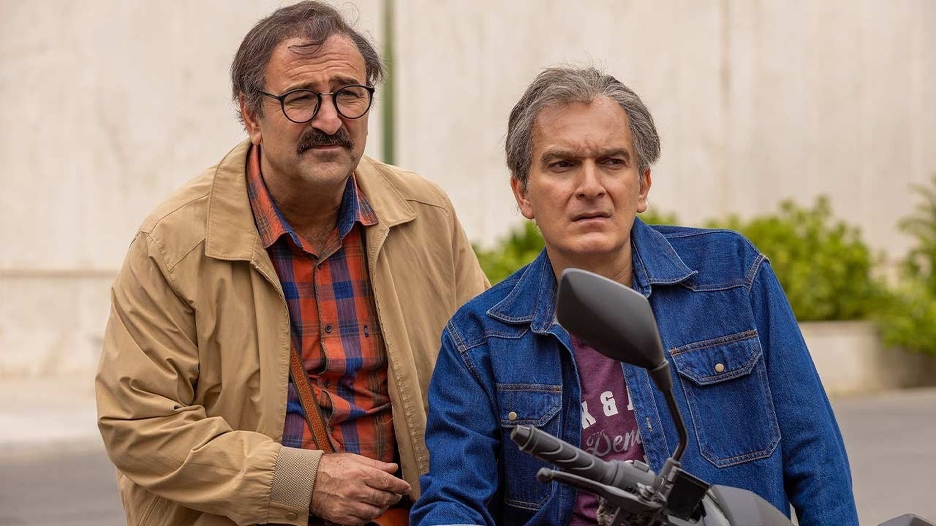 اکران زمستانی 