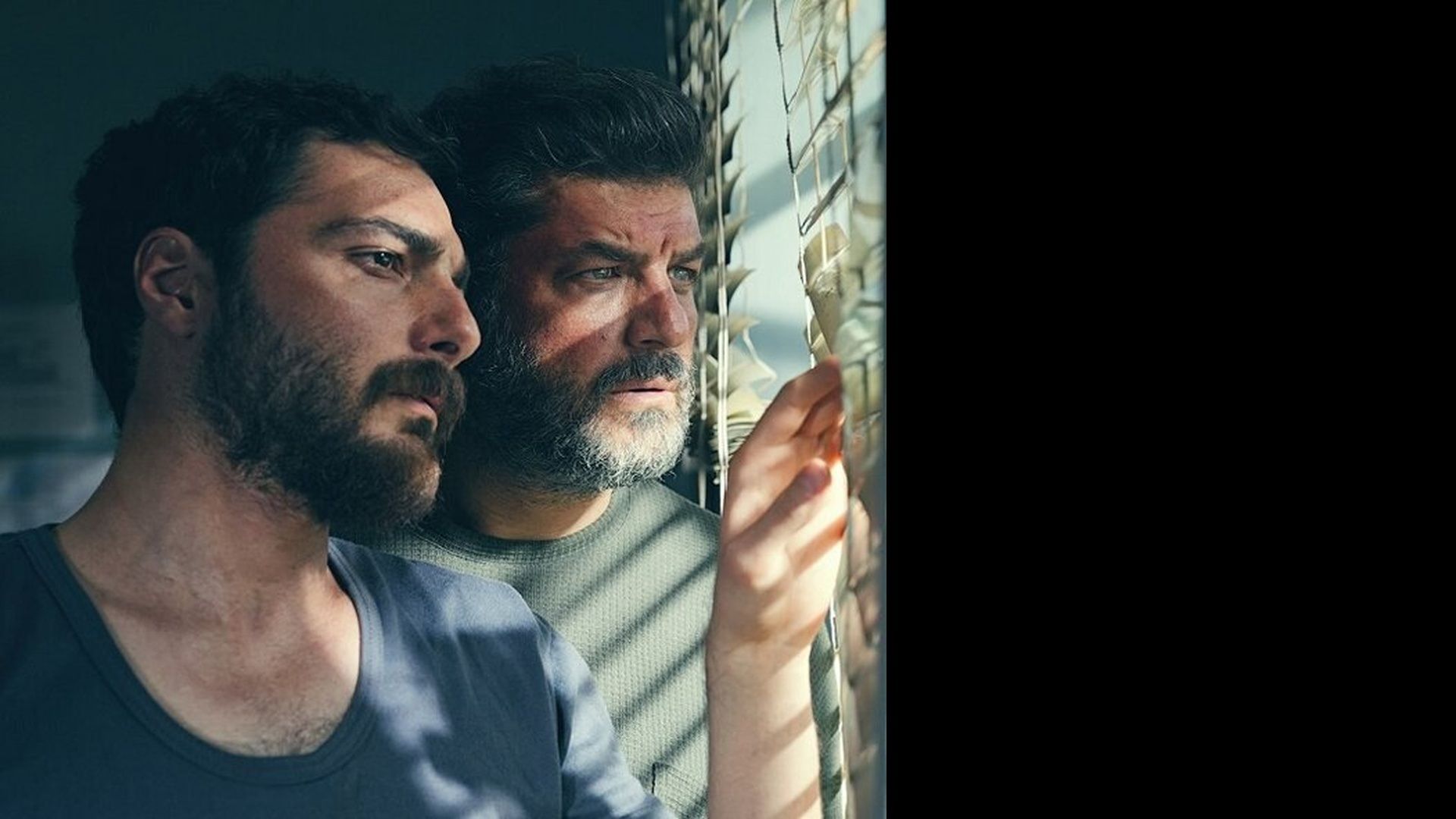 اکران های جدید 