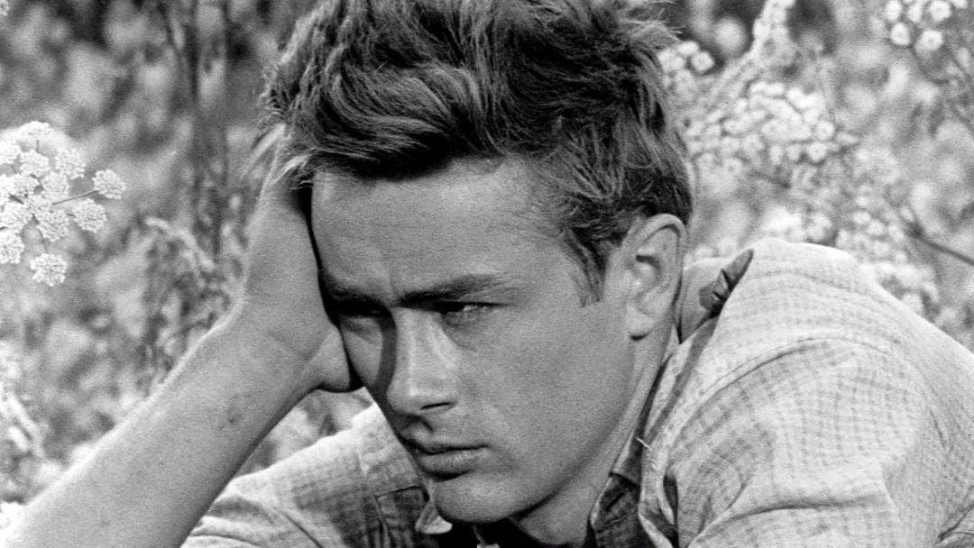 جیمز دین (James Dean) در میان طبیعت و گل‌ها