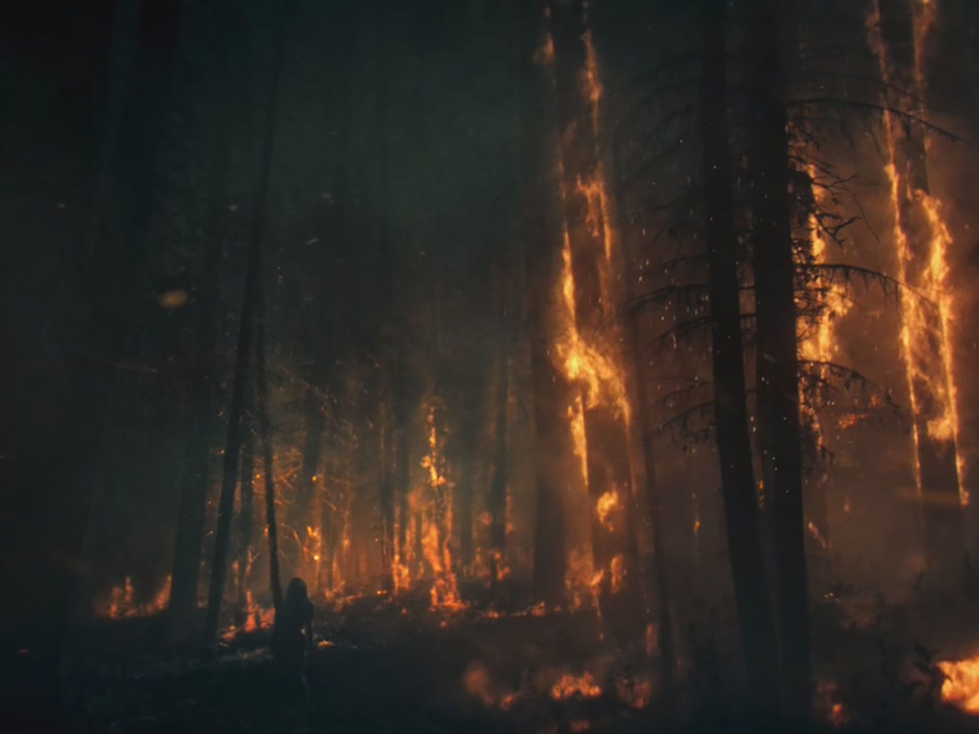 نمایی از فیلم بمیر عشق من