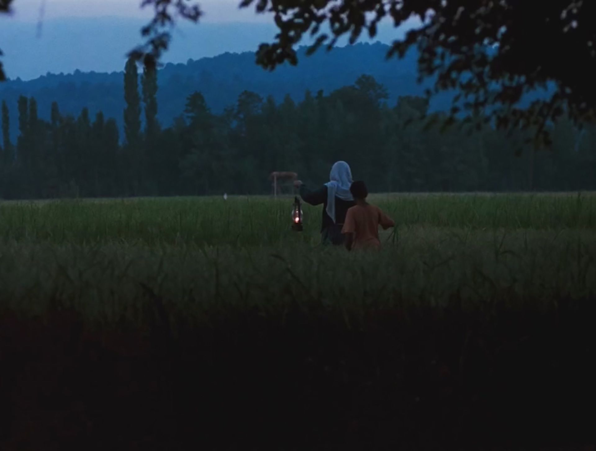 نمایی از فیلم باشو، غریبه کوچک