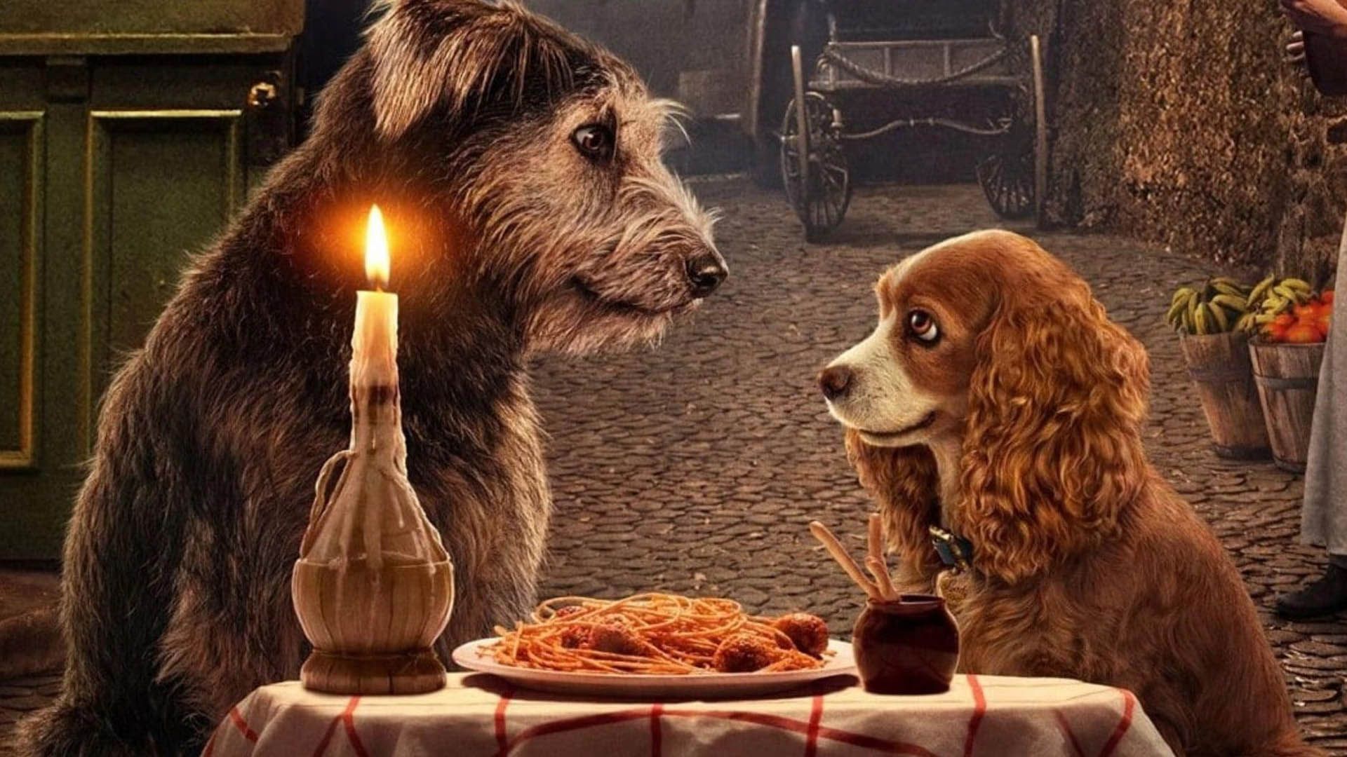 لایواکشن Lady and the Tramp