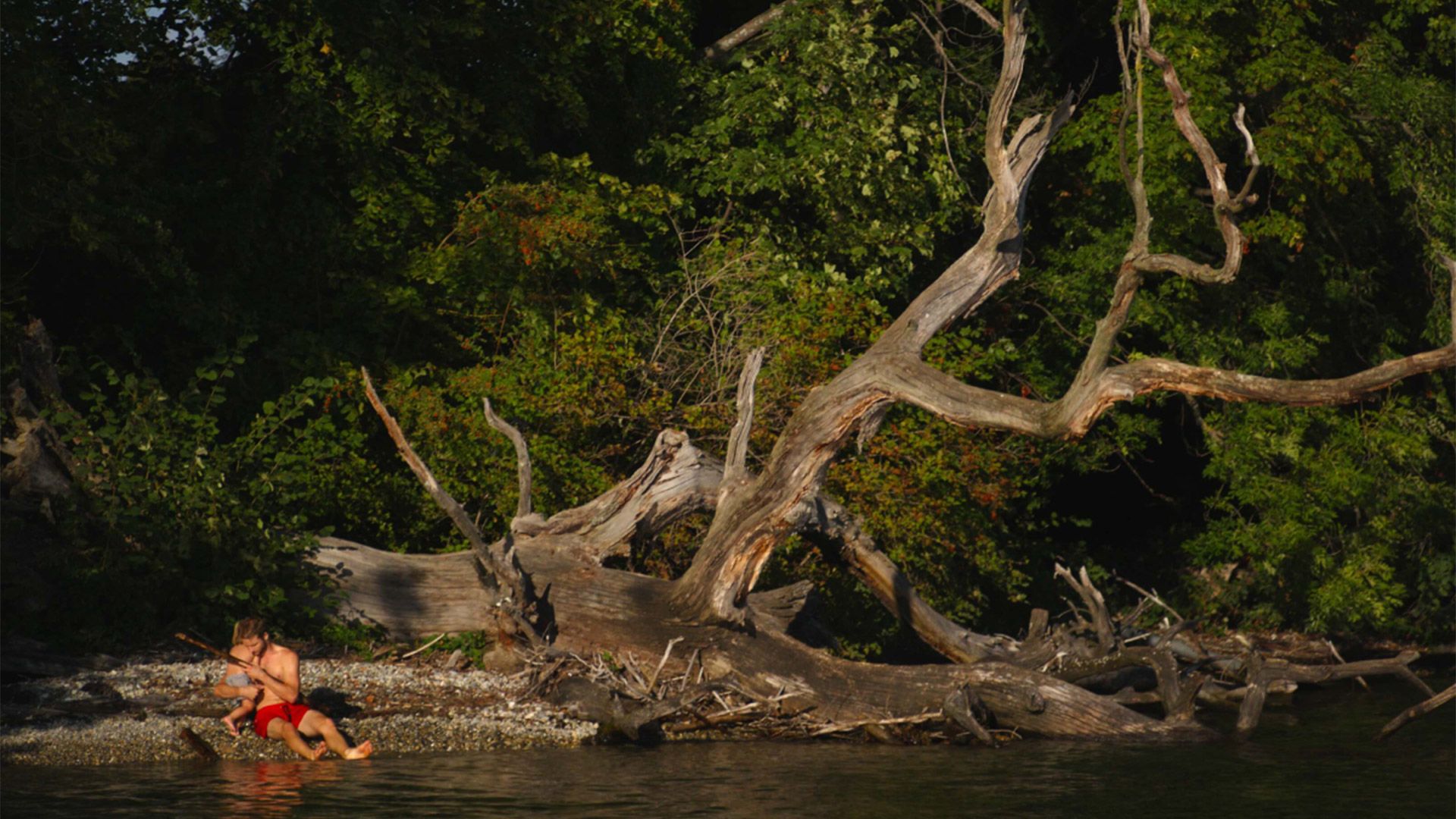 صحنه‌ای از فیلم «دریاچه»