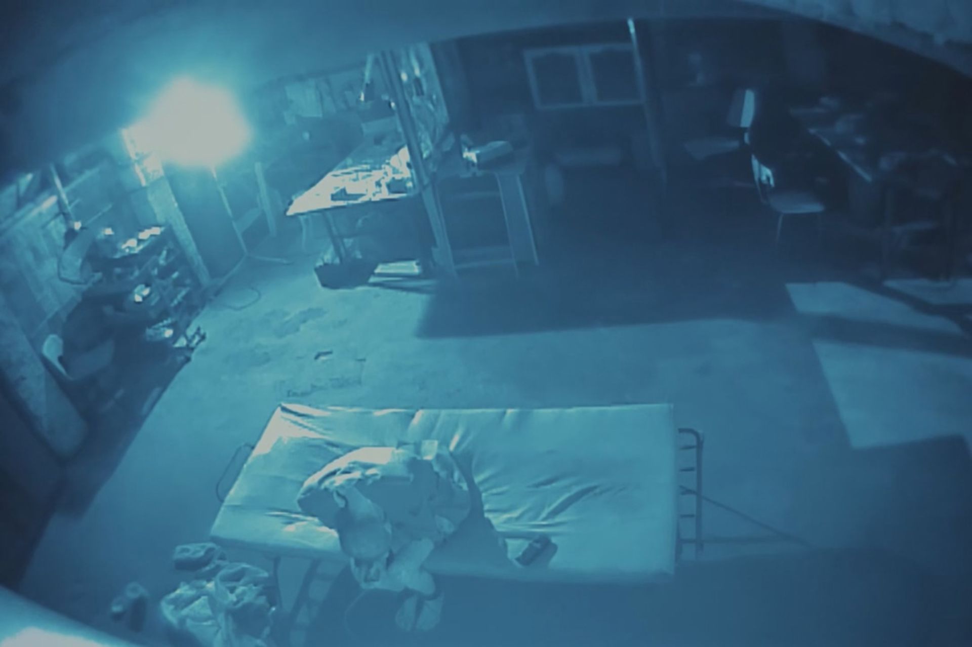 نمایی از فیلم بوگونیا