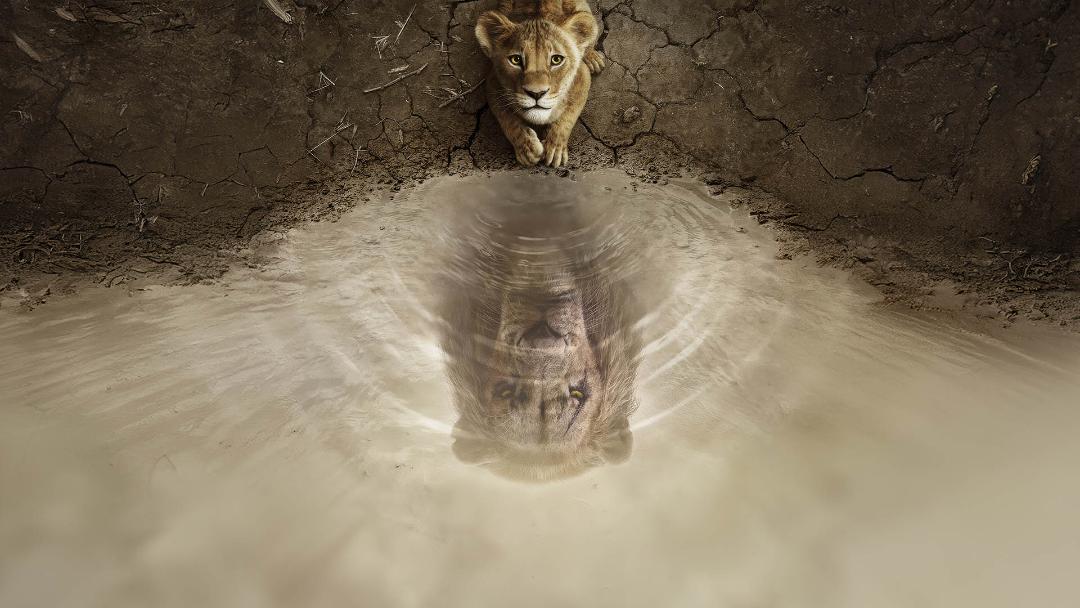 لایواکشن Mufasa The Lion King