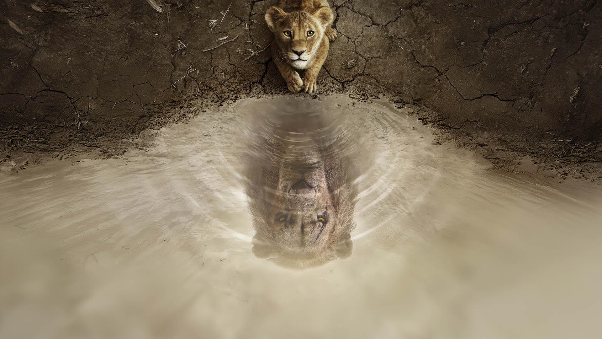 لایواکشن Mufasa The Lion King