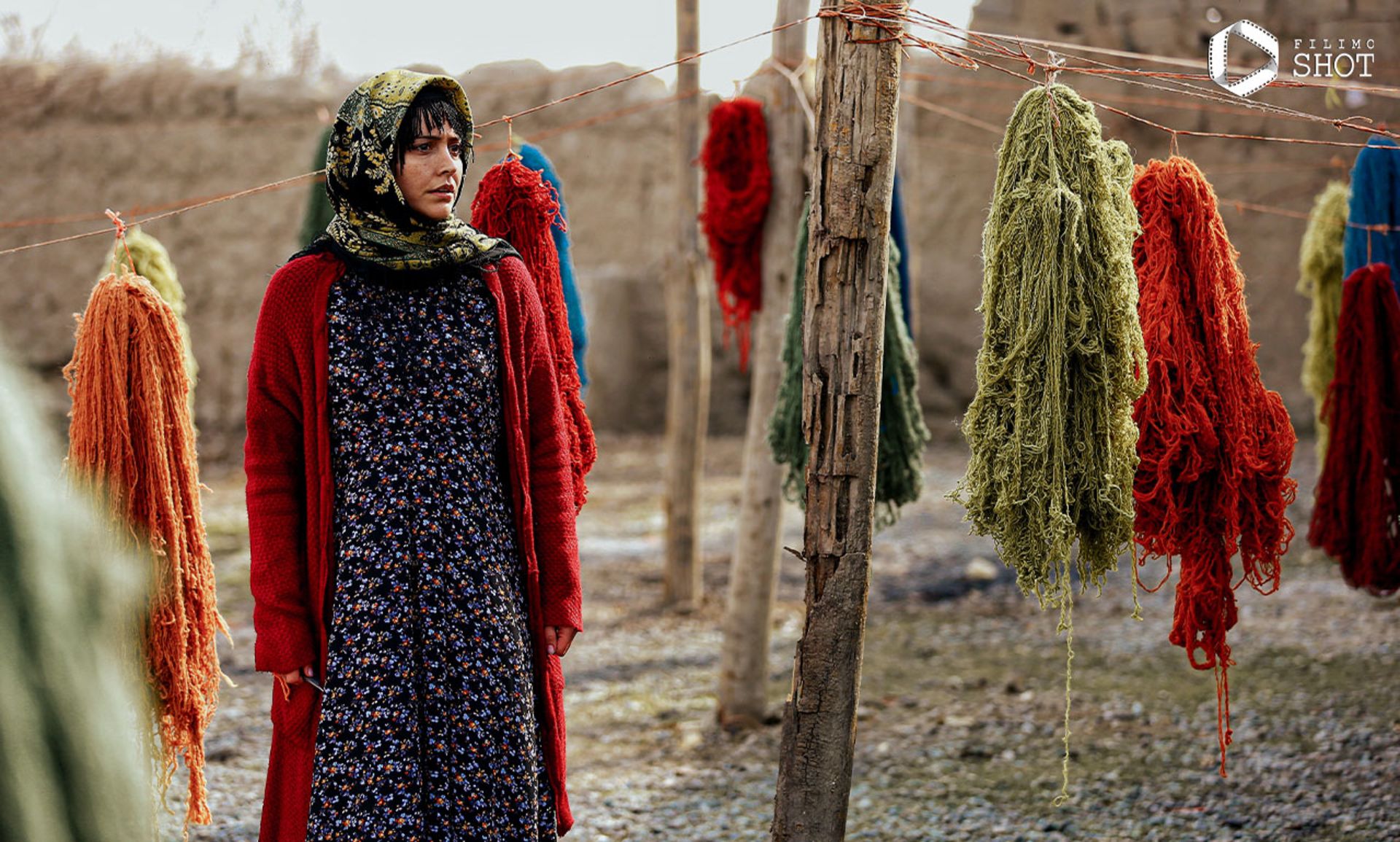 فیلم ناتوردشت 