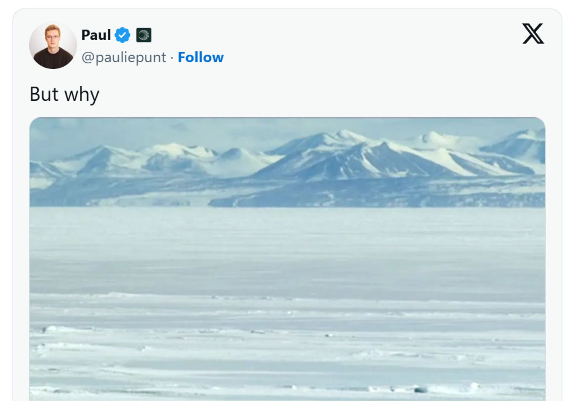 واکنش کاربران به میم پنگوئن نهیلیست