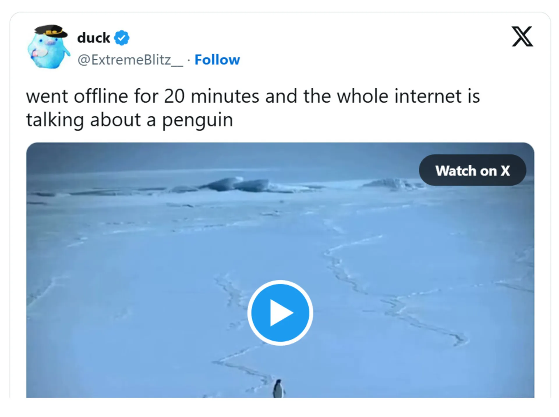 واکنش کاربران به میم پنگوئن نهیلیست