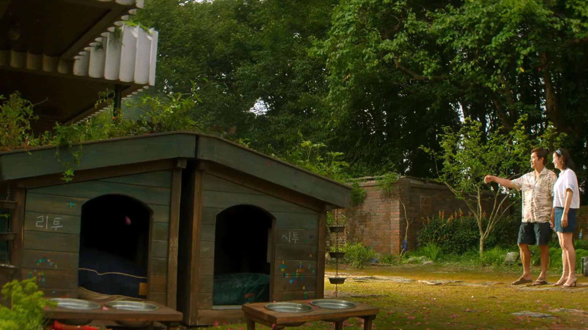 حیاط خانه‌ای بزرگ که خانه‌ای کوچک برای سگ‌ها دارد در نمایی از فیلم چاره‌ای نیست به کارگردانی پارک چان ووک