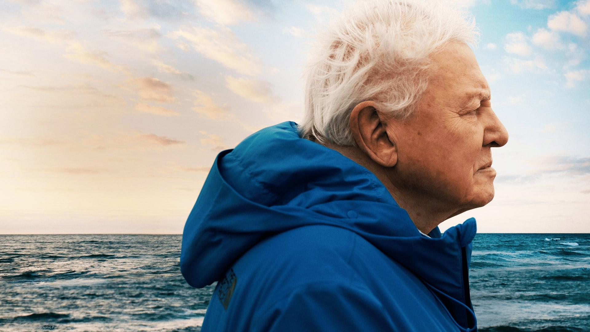 کاور مستند Ocean with David Attenborough