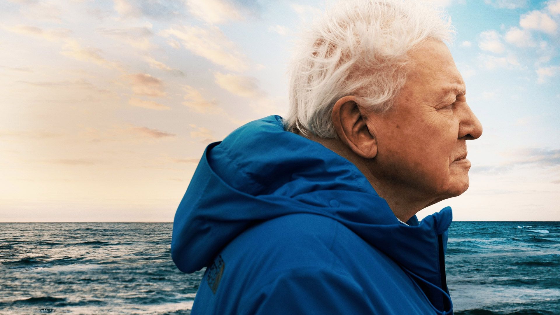 کاور مستند Ocean with David Attenborough