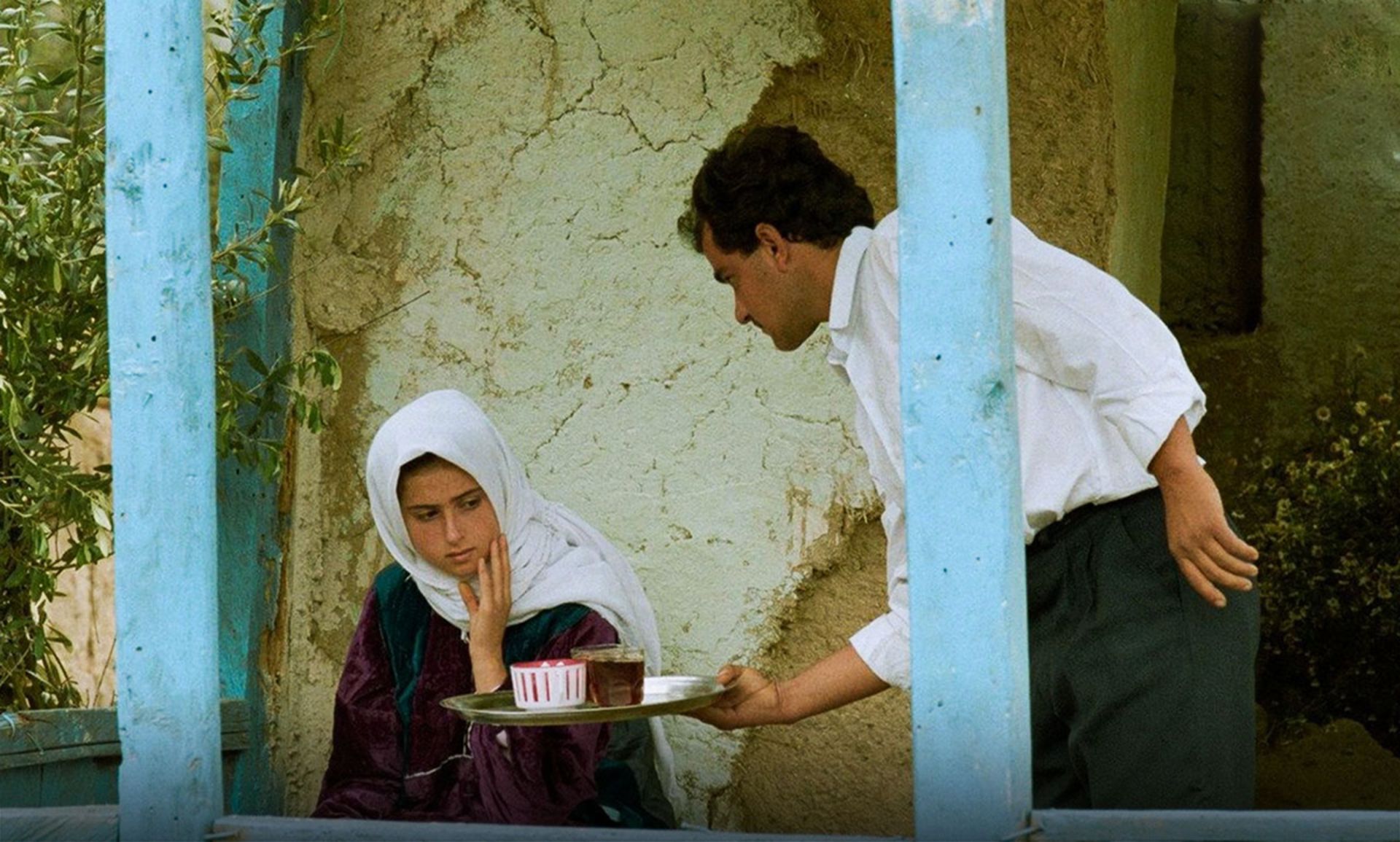 نمایی از فیلم زیر درختان زیتون