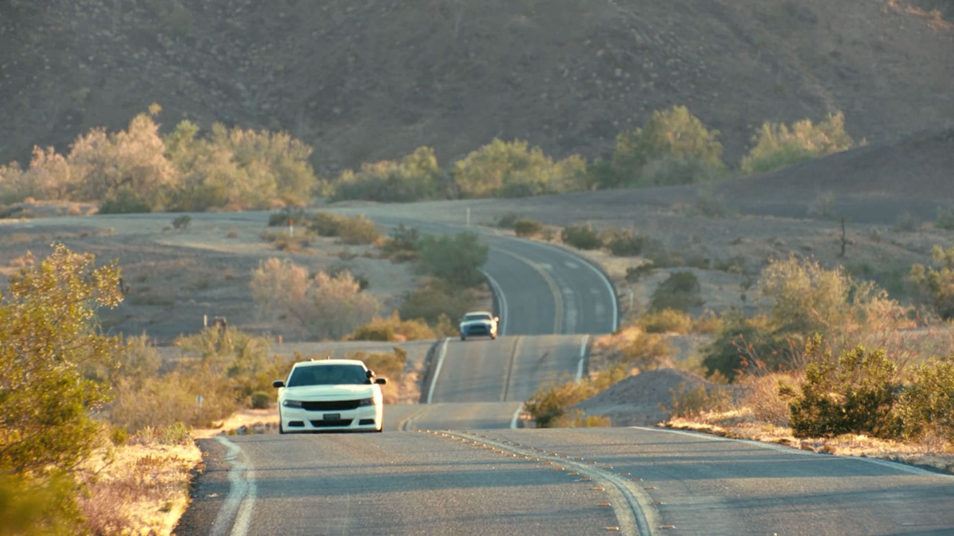 دو ماشین در جاده‌ای پر فراز و نشیب وسط بیابان می‌رانند در نمایی از فیلم نبرد پشت نبرد پل توماس اندرسون